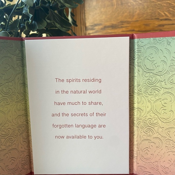 The Spirit Animal Oracle Deck - Multicolor NWOT - Picture 7 of 13